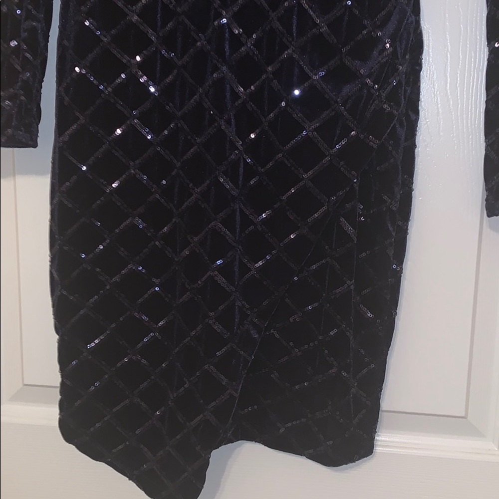 Gorgeous Velvet, Sequin Dress - Picture 7 of 8